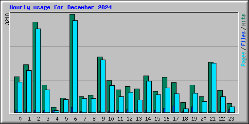 Hourly usage for December 2024